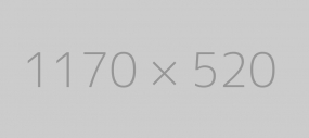 Making this the first true generator on the internet